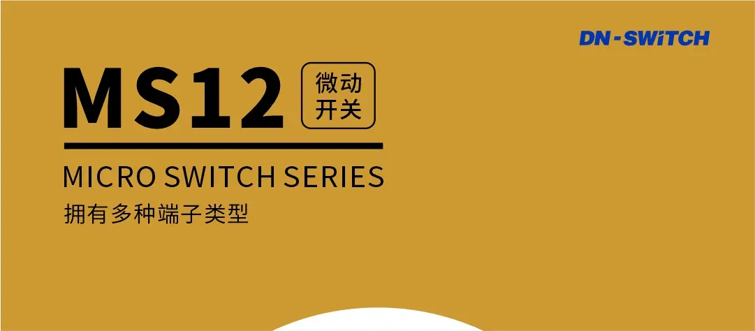 MS12 Micro switch series