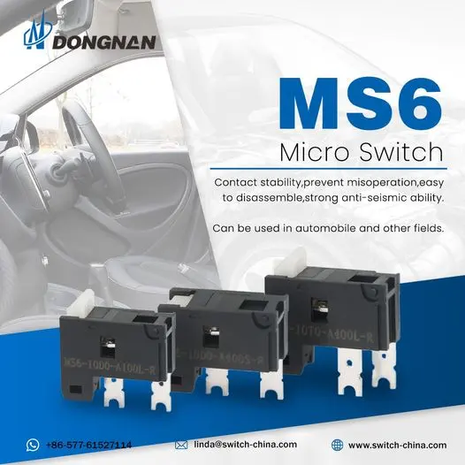 MS6 Micro Switch