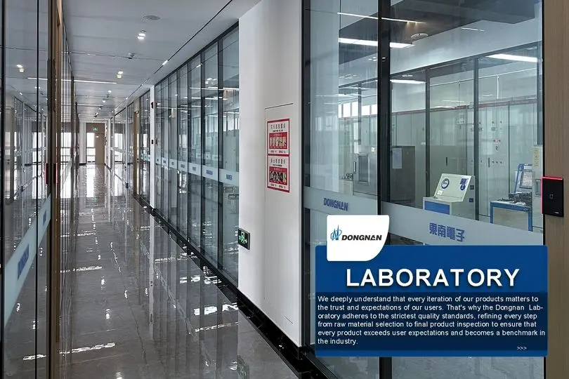 Dongnan Switch Lab