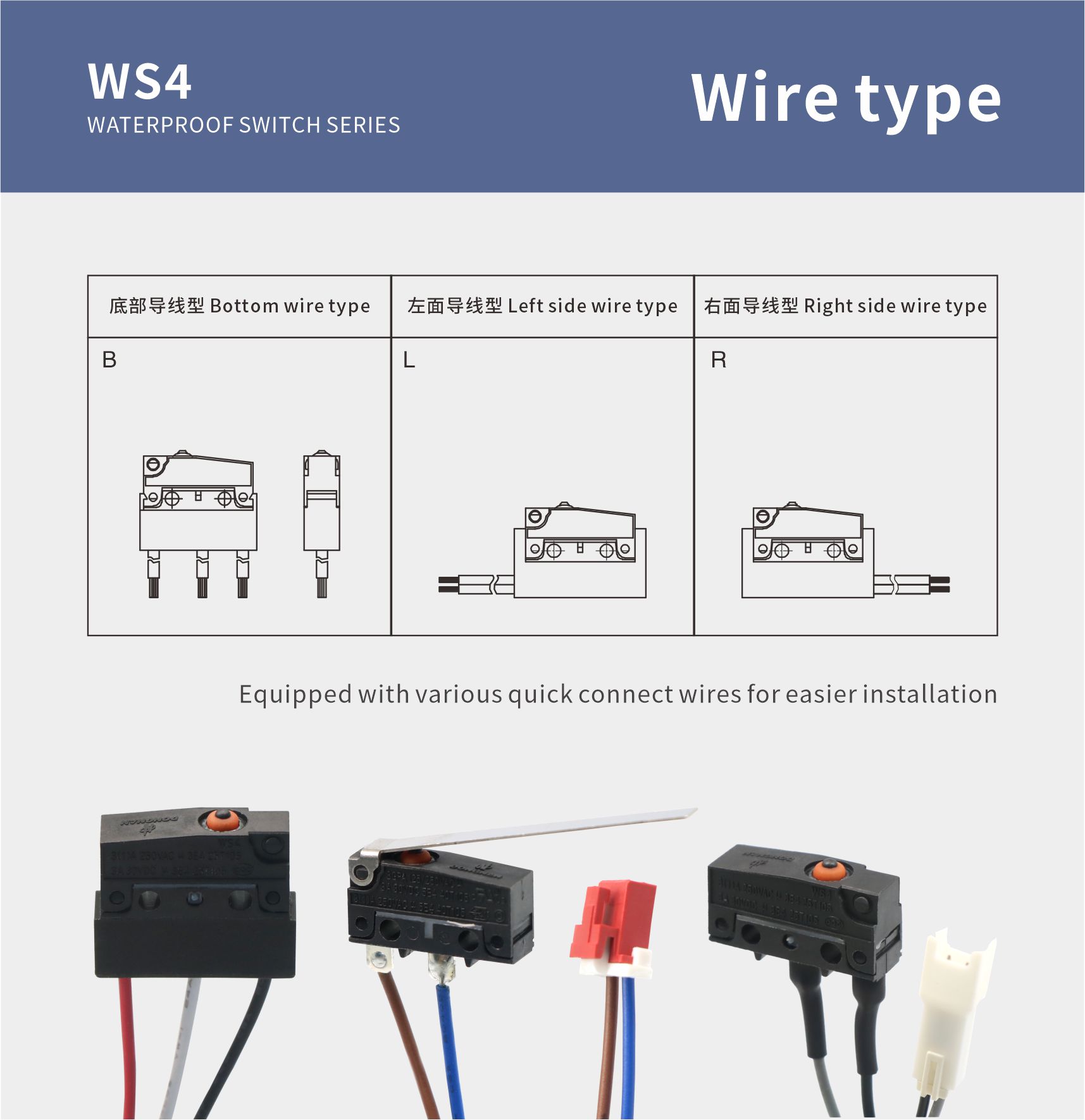 WS4-4.jpg
