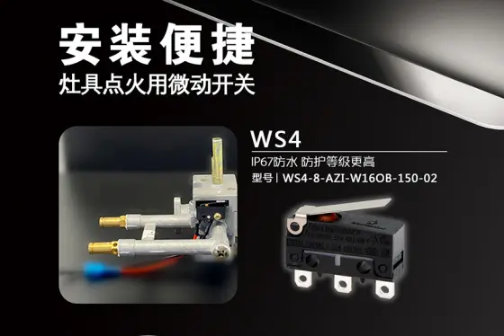 Southeast Electronics // Micro Switch Series for Stove Ignition