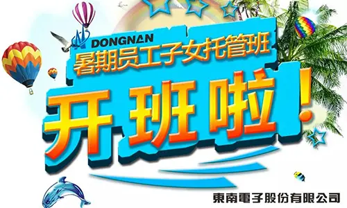 Dongnan Electronics/ \ 